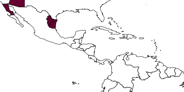 map of Cosmocomoidea capitata     (Gahan, 1932)